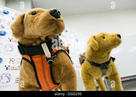 Kazunori Ohno Professore Associato all'Università Tohoku introduce ad apparecchiature high-tech per il salvataggio Cani di Tohoku University come parte della 1000km staffetta a Tokyo 2016 tour su luglio 31, 2016 Miyagi, Giappone. Il Professor Ohno ha spiegato come animali combinato con sensori artificiale come la Cyber-Enhanced canino o Robo-Dog tecnologia potrebbe aiutare a individuare le vittime di disastri naturali. © Rodrigo Reyes Marin/AFLO/Alamy Live News Foto Stock