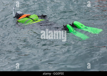 Scuba Diver nel colorato fluorescente ingranaggio in mare a Swanage in luglio Foto Stock