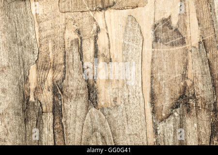 Texture in legno, vecchi di tavole di legno. Immagine può essere utilizzato come sfondo per il vostro design Foto Stock