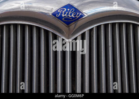 Riley griglia anteriore/badge Foto Stock