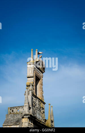 Due cicogne nidificanti sulla cima delle rovine di un antico monumento, Burgos, Castiglia e Leon, Spagna Foto Stock