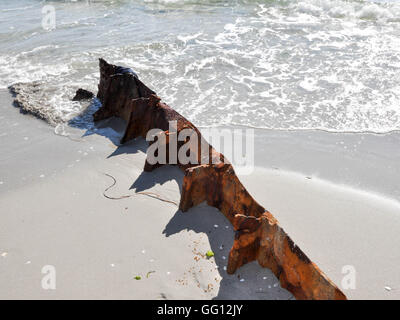 Vecchio arrugginito naufragio parzialmente sommerso a CY O'Connor spiaggia e l'Oceano Indiano seascape in Nord Coogee, Western Australia. Foto Stock