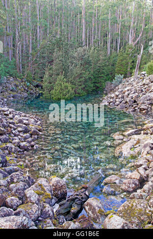 Sparendo Tarn su kunanyi / Mt Wellington Foto Stock