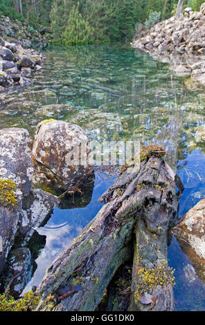 Sparendo Tarn su kunanyi / Mt Wellington Foto Stock