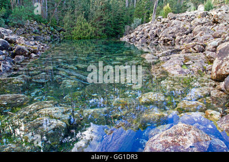 Sparendo Tarn su kunanyi / Mt Wellington Foto Stock