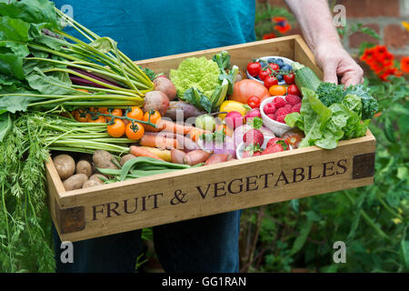 Uomo in possesso di un vassoio in legno di raccolti di frutta e verdura in un cottage Inglese giardino Foto Stock