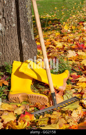 Lavorando con un rastrello nel giardino autunnale Foto Stock