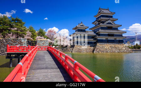 Il Castello Matsumoto in fiore di ciliegio stagione, Nagano, Giappone Foto Stock