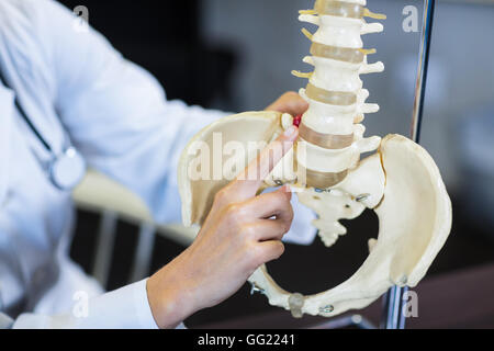 Fisioterapista tenendo un modello della colonna vertebrale Foto Stock