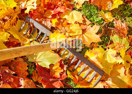 Lavorando con un rastrello nel giardino autunnale Foto Stock