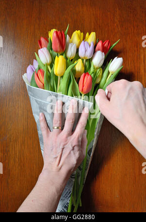 Parte mantiene un bouquet di tulipani in carta da imballo Foto Stock