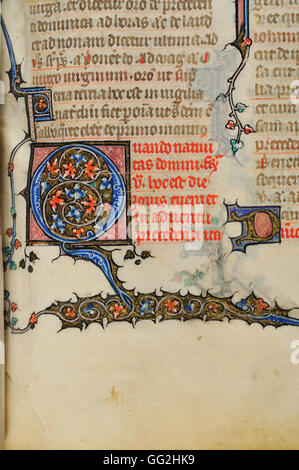 Lettera illuminata breviario per Parigi inizi del XIV secolo pergamena manoscritta Foto Stock