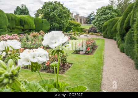 Una vista panoramica della splendida giardini presso Raby Castle,Staindrop,Co.Durham, Inghilterra,UK con il castello in background Foto Stock