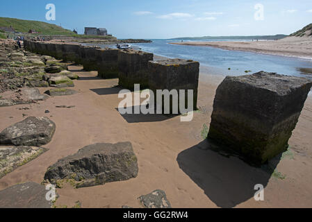 WW2 tempo di guerra ringraziare ancora barriere al posto di Cruden Bay sulla costa 26 miglia a nord di Aberdeen. SCO 11,123. Foto Stock