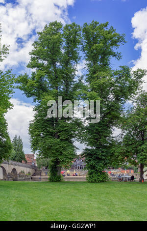 Wallingford dal fiume Tamigi nel Sud oxfordshire Foto Stock