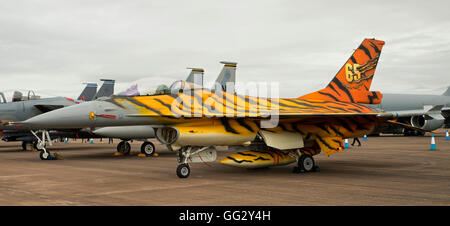 F16 Tiger 31 squadrone belga di Air Force presso il Royal International Air Tattoo 2016 Foto Stock