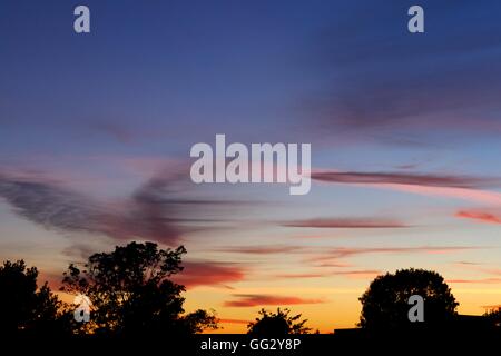 Il tramonto sopra treeline Foto Stock