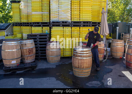 Avvinato lavoratore, riparazione di botte di vino, Alfa Omega Cantina Napa Valley, California, Stati Uniti Foto Stock