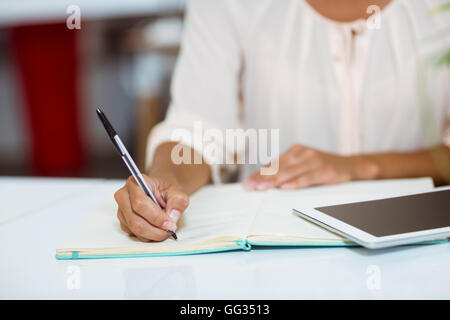 Business executive scrivendo sul diario Foto Stock