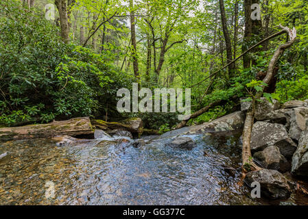 Bacino della cascata si riversa nella valle di montagna di Great Smoky Mountains Foto Stock