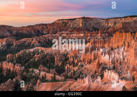 Anfiteatro, Parco Nazionale di Bryce Canyon, Utah, Stati Uniti d'America Foto Stock