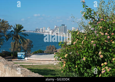 Israele e Medio Oriente: Lo skyline e il litorale delle spiagge di Tel Aviv visto dalla cima della collina su cui la città vecchia di Jaffa è appollaiato Foto Stock