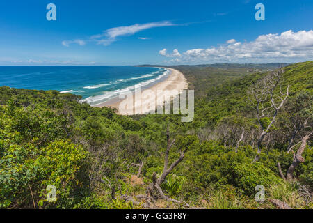 Byron Bay, Nuovo Galles del Sud, Australia. Tallow Beach confinante Arakwal National Park. Foto Stock