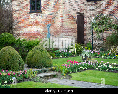 Angolo di Chenies Manor garden, il percorso e i passi dal vecchio padiglione edificio; trellis, topiaria da alberi e tulipani rosa in maggio. Foto Stock