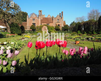 Paesaggio di Chenies Manor House e affondata giardino presso tulip time con un luminoso cielo blu e rosa luminoso tulipani che incorniciano la vista. Foto Stock