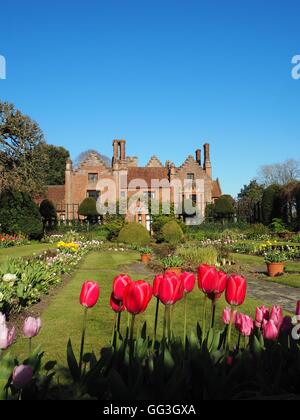 Ritratto di Chenies Manor House e affondata giardino presso tulip time con un luminoso cielo blu e rosa luminoso tulipani che incorniciano la vista. Foto Stock