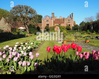 Paesaggio di Chenies Manor House e affondata giardino presso tulip time con un luminoso cielo blu e rosa luminoso tulipani che incorniciano la vista. Foto Stock