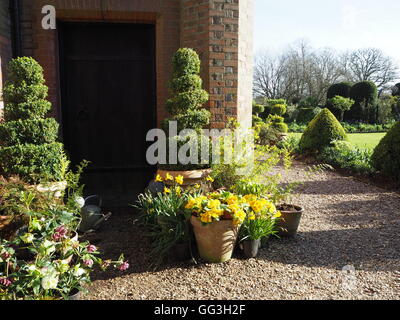 Chenies Manor, Bucks, angolo porta e percorso di scandole di prato refilato con siepe di bosso topiaria da e. Collezione di vasi tulip Foto Stock
