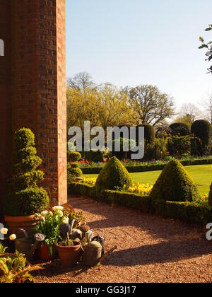 Chenies Manor angolo del cotto e del percorso di scandole di prato refilato con siepe di bosso topiaria da e. Collezione di vasi tulip Foto Stock