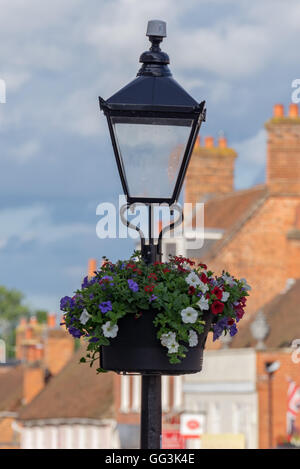 Una lampada standard con cesto fiorito in Odiham, REGNO UNITO Foto Stock