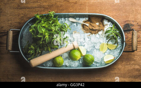 Ingredienti per rendere mojito summer cocktail nel vassoio di metallo Foto Stock