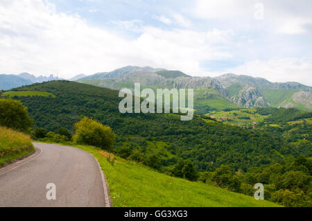 Strada laterale e il paesaggio di montagna. Parco Nazionale di Picos de Europa, Asturias, Spagna. Foto Stock