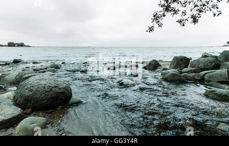 Costa rocciosa nel Golfo di Finlandia e le onde il giorno nuvoloso Foto Stock