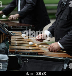 Chiusura del musicista che gioca su xilofono. Foto Stock