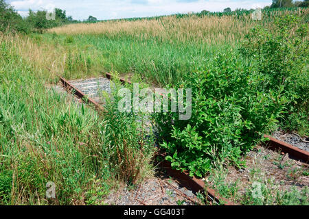 Ferrovia abbandonata la ferrovia binari ferroviari binari del treno Foto Stock