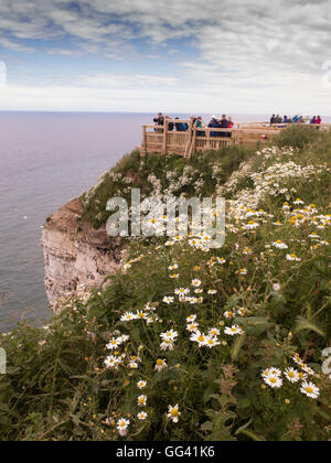 Gli amanti del birdwatching a Bempton Cliffs Yorkshire Regno Unito Foto Stock