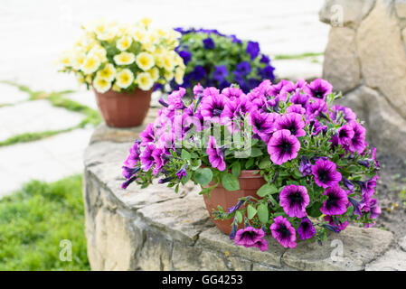 Decorazioni per matrimoni al ristorante con tutta la bellezza e fiori Foto Stock