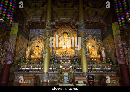 Il Dharma Hall e tre Golden Statue di Buddha all'interno del Yakchunsa (Yakcheonsa) tempio sulla isola di Jeju in Corea del Sud. Foto Stock