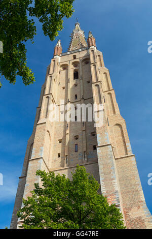 La torre di Onze Lieve Vrouwe Kerk (Chiesa di Nostra Signora) Bruges, Belgio Foto Stock