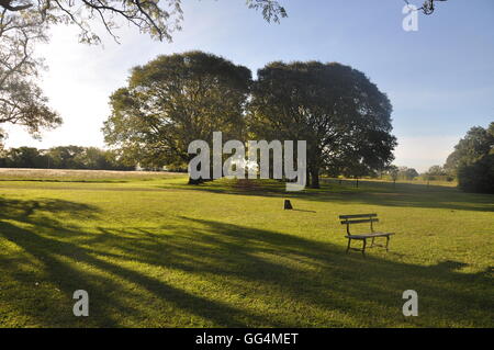 Due file di alberi dietro a breve erba verde e un banco vuoto e ombre sulla bella e tranquilla pomeriggio durante la Estancia vicino a Buenos Aires, Argentina. Foto Stock