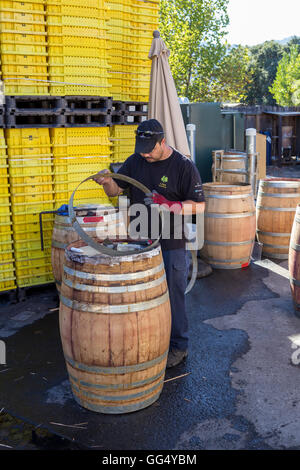 Avvinato lavoratore, riparazione di botte di vino, Alfa Omega Cantina Napa Valley, California, Stati Uniti Foto Stock