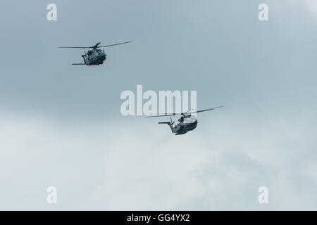 Pesanti carichi di sollevamento elicottero Sikorsky CH-53 Sea Stallion e NHIndustries NH90 dell'esercito tedesco. Foto Stock