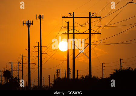 Le linee elettriche stagliano in Florida tramonto Foto Stock