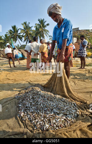 Il Kerala fisher uomo con acciuga pesce nella sua rete. Una mattina in vista dalla spiaggia di vizhinjam, Kerala, India Foto Stock