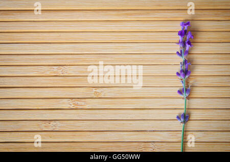 La Lavanda sulla texture di legno. Elemento di design. Foto Stock