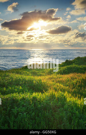 Tramonto sulla composizione del paesaggio. Cielo, mare e verde erba. Foto Stock